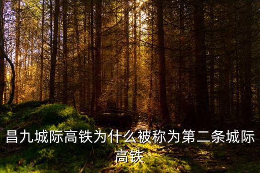 昌九城際高鐵為什么被稱為第二條城際高鐵
