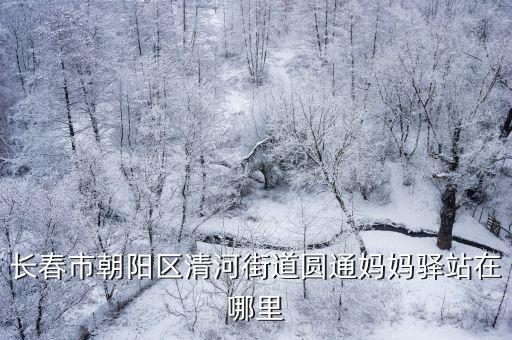 長春市朝陽區(qū)清河街道圓通媽媽驛站在哪里