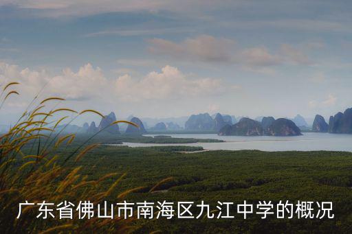 廣東省佛山市南海區九江中學的概況
