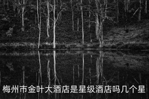 梅州市金葉大酒店是星級酒店嗎幾個星