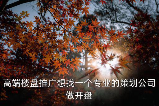 高端樓盤推廣想找一個專業的策劃公司做開盤