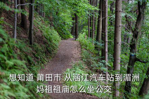 想知道 莆田市 從涵江汽車站到湄洲媽祖祖廟怎么坐公交