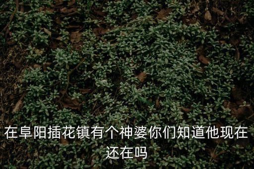 在阜陽插花鎮有個神婆你們知道他現在還在嗎