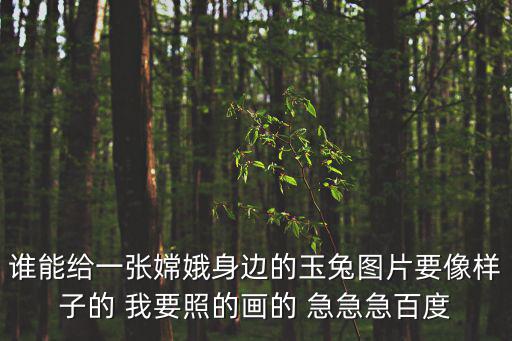 誰能給一張嫦娥身邊的玉兔圖片要像樣子的 我要照的畫的 急急急百度