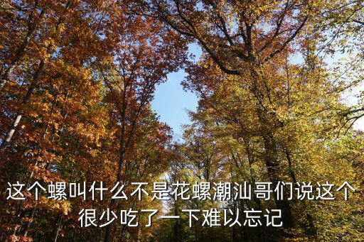 仙螺，西游記中仙箓的意思
