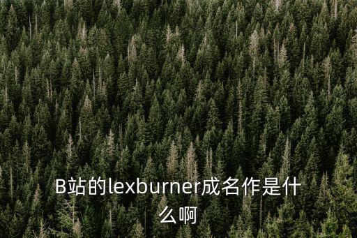 lex是誰，B站的lexburner成名作是什么啊