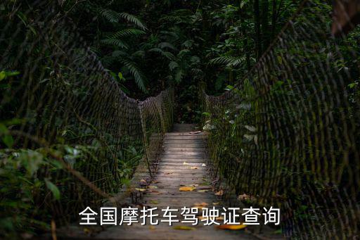 全國摩托車駕駛證查詢