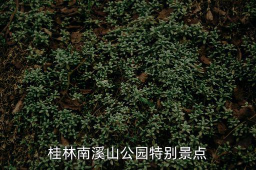 桂林南溪山公園特別景點