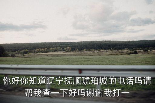 你好你知道遼寧撫順琥珀城的電話嗎請幫我查一下好嗎謝謝我打一