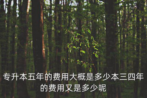 專升本五年的費用大概是多少本三四年的費用又是多少呢
