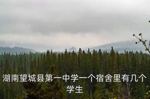 湖南望城縣第一中學一個宿舍里有幾個學生