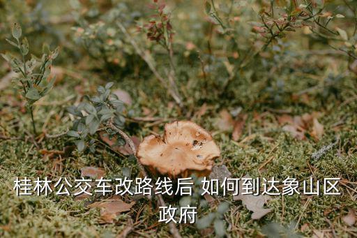 象山政府，再問問你哈