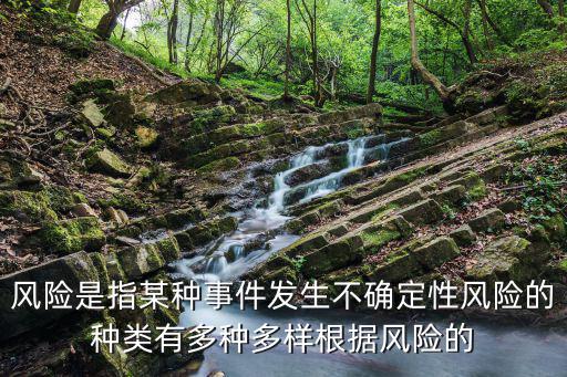風險是指某種事件發生不確定性風險的種類有多種多樣根據風險的