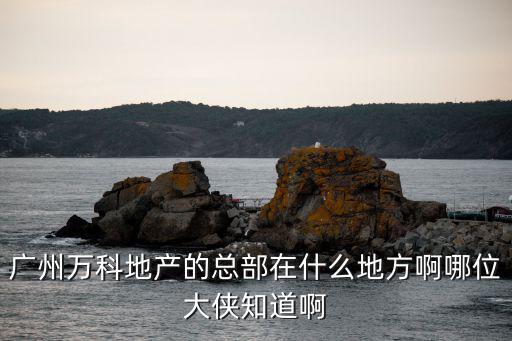 廣州萬(wàn)科地產(chǎn)的總部在什么地方啊哪位大俠知道啊