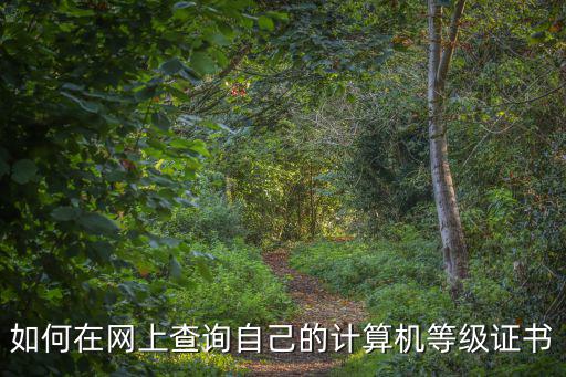 如何在網(wǎng)上查詢自己的計算機等級證書