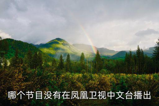 哪個節目沒有在鳳凰衛視中文臺播出