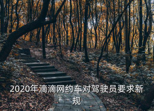 網約車車輛要求，2020年滴滴網約車對駕駛員要求新規