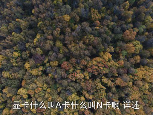 顯卡什么叫A卡什么叫N卡啊 詳述