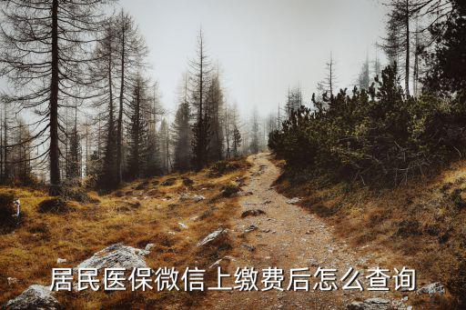 居民醫(yī)保微信上繳費后怎么查詢