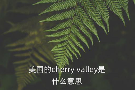 美國的cherry valley是什么意思