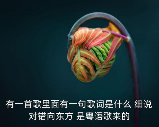 向東方，有一首歌里面有一句歌詞是什么 細說對錯向東方 是粵語歌來的