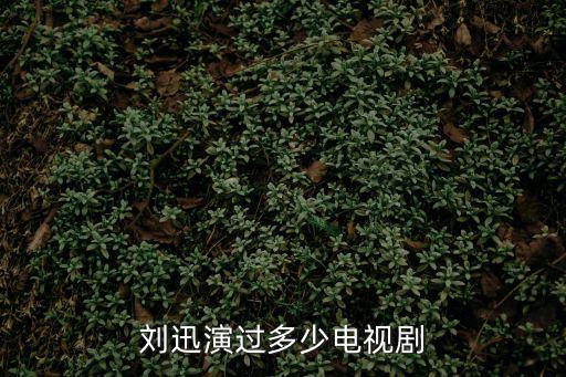 劉迅演過多少電視劇