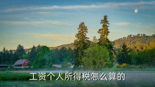 個人所得稅算法，工資個人所得稅怎么算的