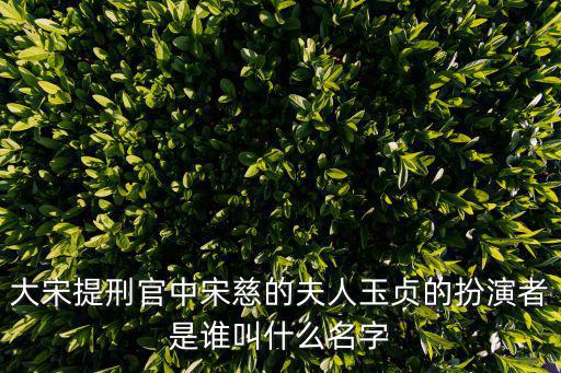 大宋提刑官中宋慈的夫人玉貞的扮演者是誰叫什么名字