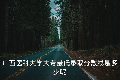 廣西醫科大學大專最低錄取分數線是多少呢