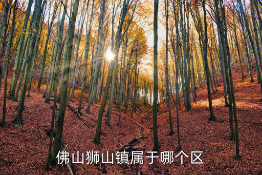 獅山鎮，佛山獅山鎮屬于哪個區