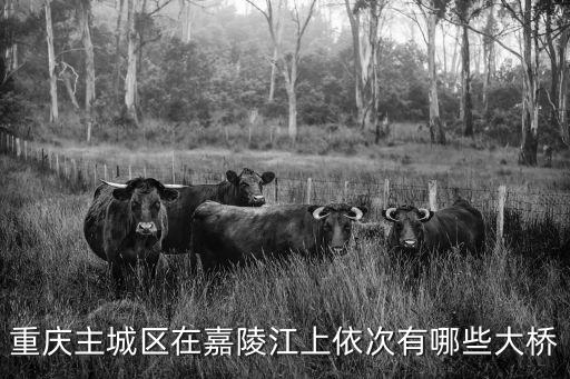 重慶主城區在嘉陵江上依次有哪些大橋
