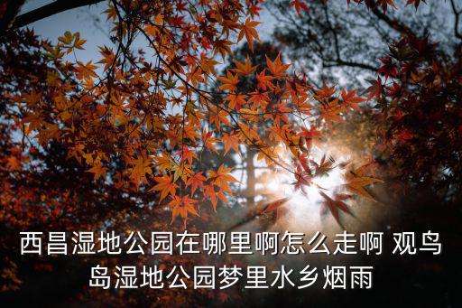 西昌濕地公園在哪里啊怎么走啊 觀鳥島濕地公園夢里水鄉煙雨