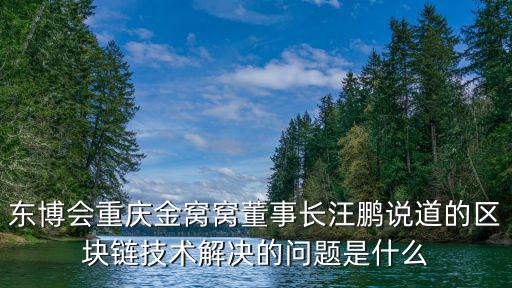 東博會重慶金窩窩董事長汪鵬說道的區塊鏈技術解決的問題是什么