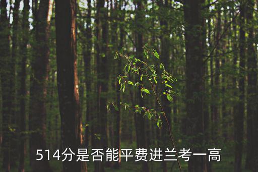 蘭考一高，514分是否能平費進蘭考一高