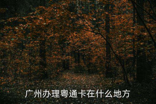 廣州辦理粵通卡在什么地方