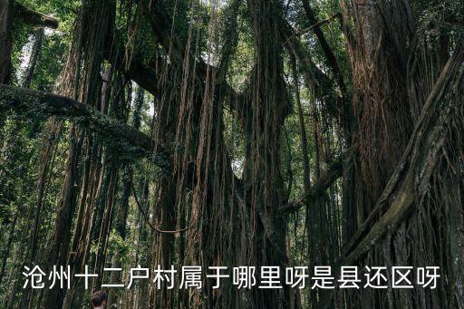 滄州十二戶村屬于哪里呀是縣還區呀