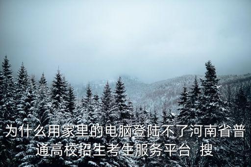 為什么用家里的電腦登陸不了河南省普通高校招生考生服務平臺  搜