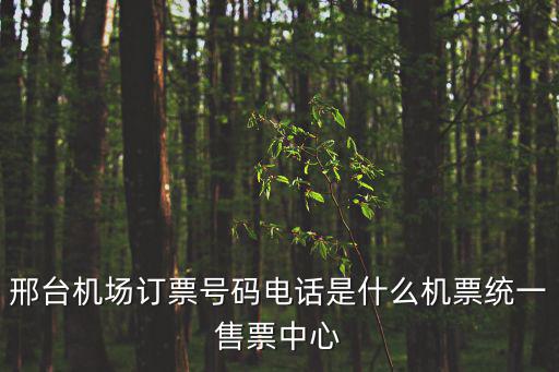 邢臺機場訂票號碼電話是什么機票統一售票中心