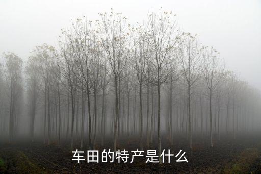 車田，車田在哪里啊