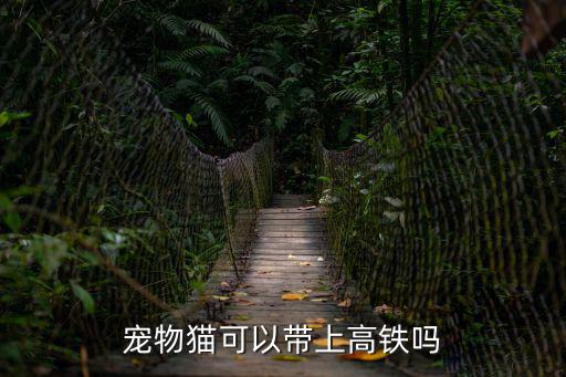 寵物貓可以帶上高鐵嗎