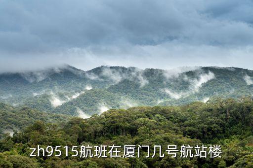 zh9515航班在廈門幾號航站樓