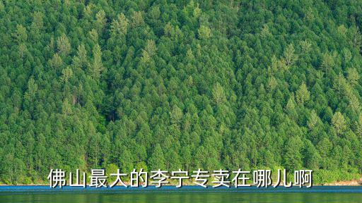 佛山最大的李寧專賣在哪兒啊