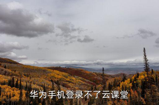 華為手機登錄不了云課堂
