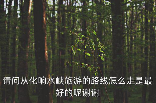 從化響水峽，從化響水峽介紹
