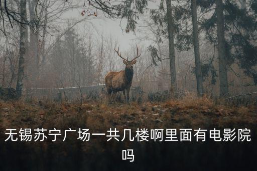 無錫蘇寧廣場一共幾樓啊里面有電影院嗎