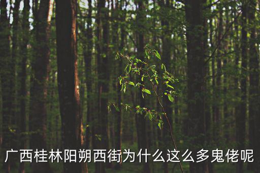 廣西桂林陽朔西街為什么這么多鬼佬呢