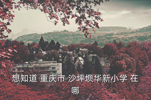 華新小學，大家知道汕頭市華新小學在哪嗎