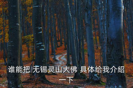 誰能把 無錫靈山大佛 具體給我介紹一下