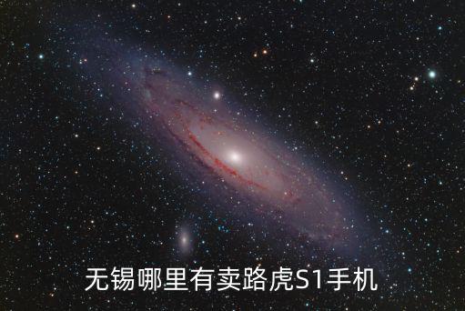 無錫s1，江蘇無錫江陰的步步高s1最新報(bào)價(jià)是多少