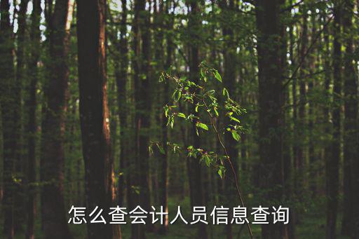 怎么查會計人員信息查詢